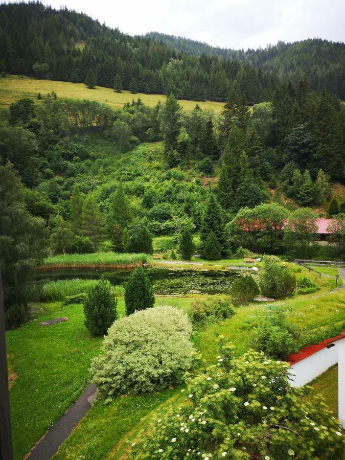 Grassegger Appartementhaus Sankt Johann am Tauern 외부 사진