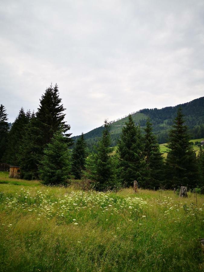 Grassegger Appartementhaus Sankt Johann am Tauern 외부 사진